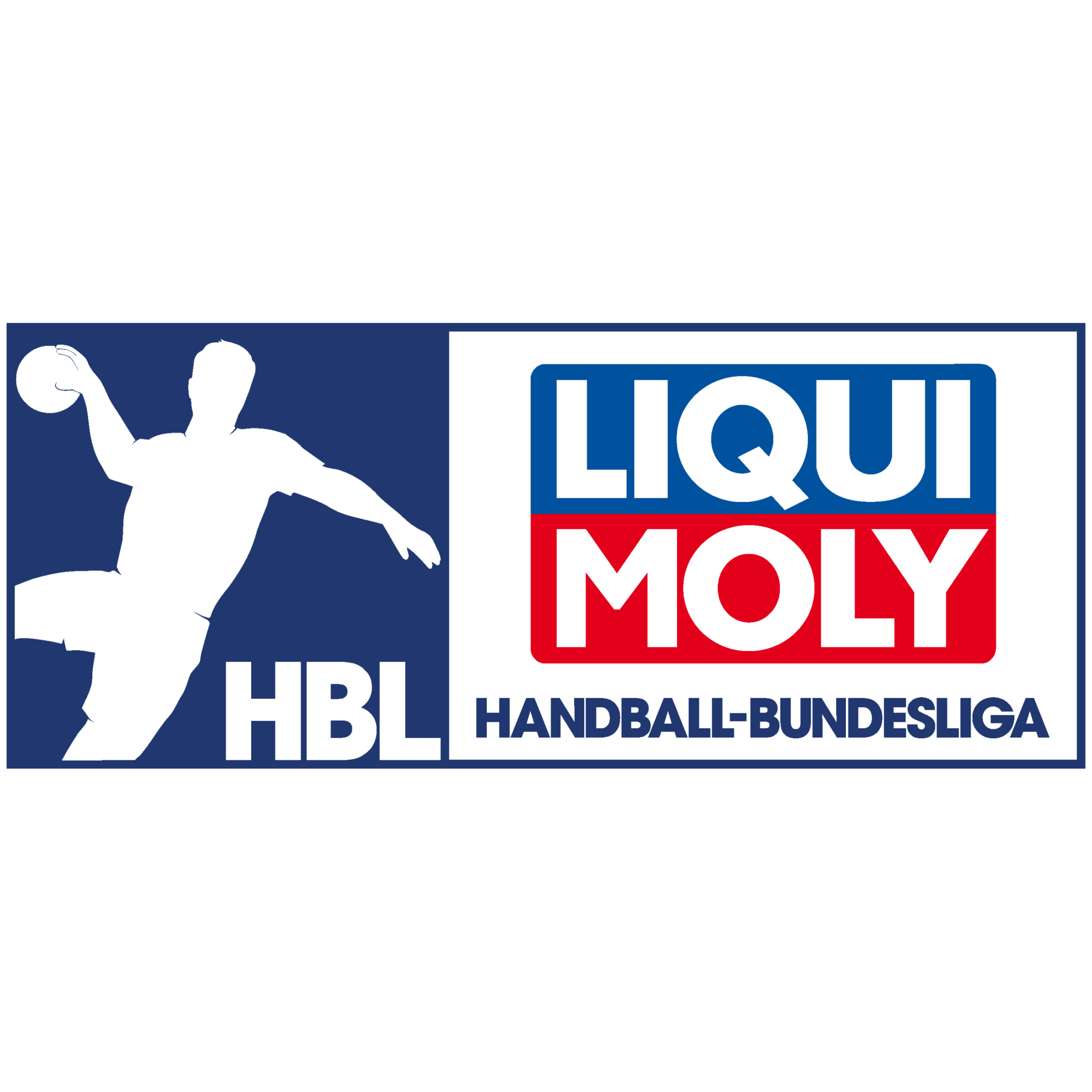 Liqui Moly Handball Bundesliga uses sports data analytics to manage the workload of players.