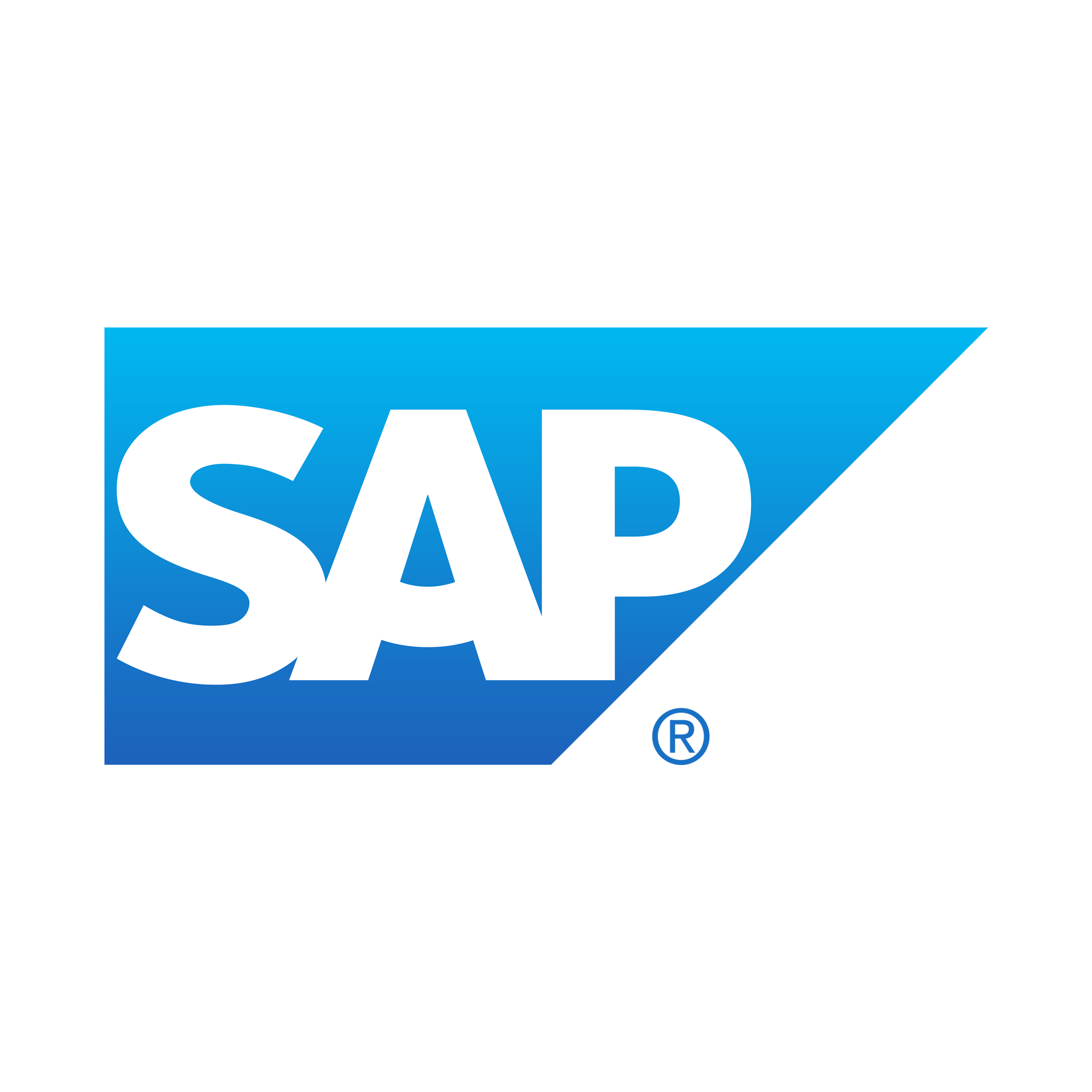 SAP Business Software Logo