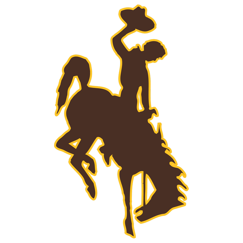 The Wyoming Cowboys football team rely on sports data analytics from KINEXON player tracking devices.